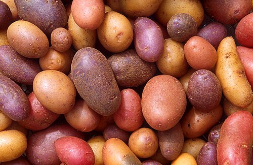 Fresh Potato (Diamond)